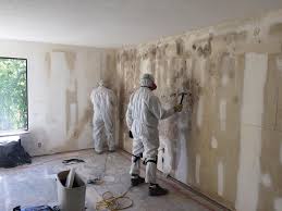 Best Environmental Consulting for Mold Prevention  in Fort Llins, CO